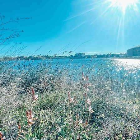La Casita ,Appartement Face A L'Etang Le Barcarès エクステリア 写真