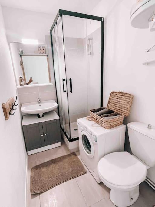 La Casita ,Appartement Face A L'Etang Le Barcarès エクステリア 写真
