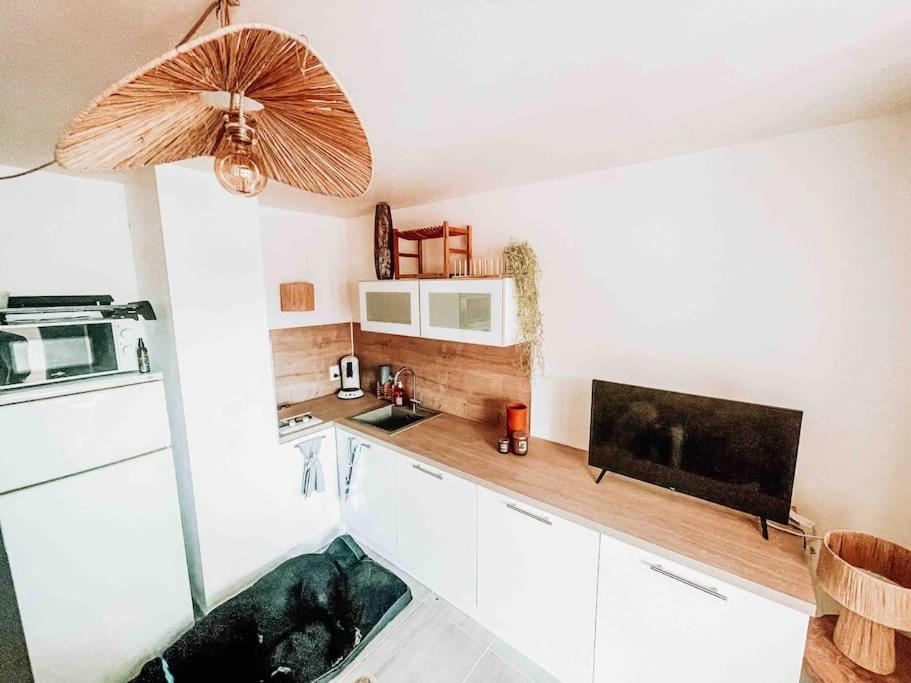 La Casita ,Appartement Face A L'Etang Le Barcarès エクステリア 写真