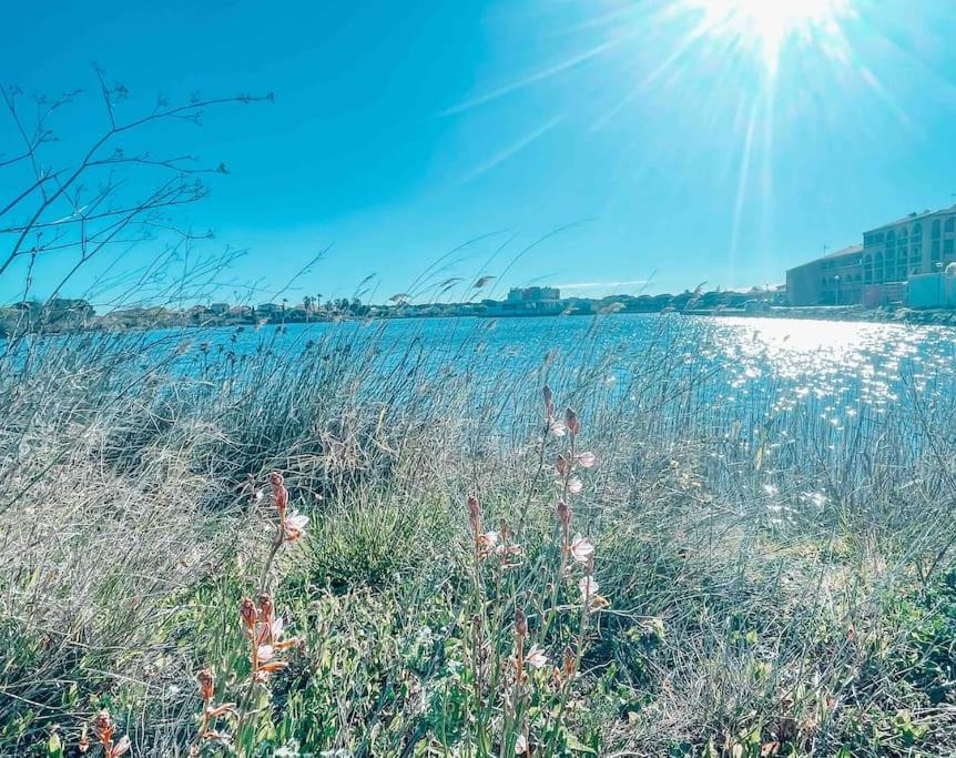 La Casita ,Appartement Face A L'Etang Le Barcarès エクステリア 写真